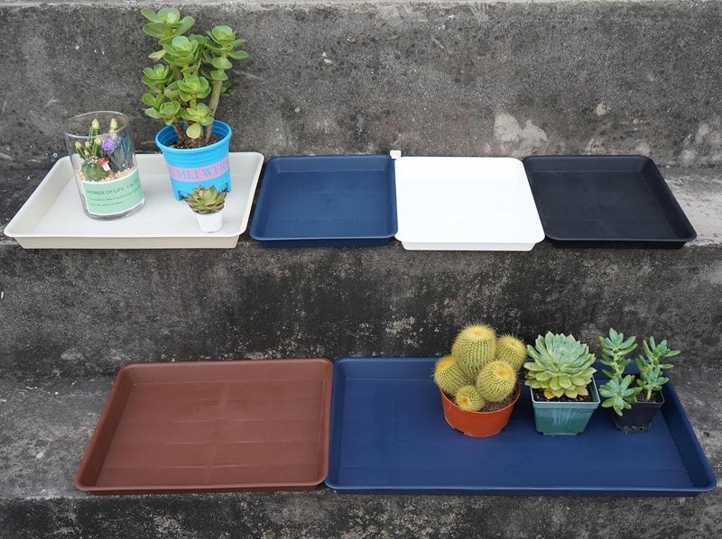 VUWEZ 4 Pack Plant Saucer Tray Rectangular, Plant Saucers for Indoors, Heavy Sturdy Plastic Plant Drainage Trays, Plant Drip Trays for Pots, Seed Starter Growing Tray (11 x 9 inch, Black) - Image 4